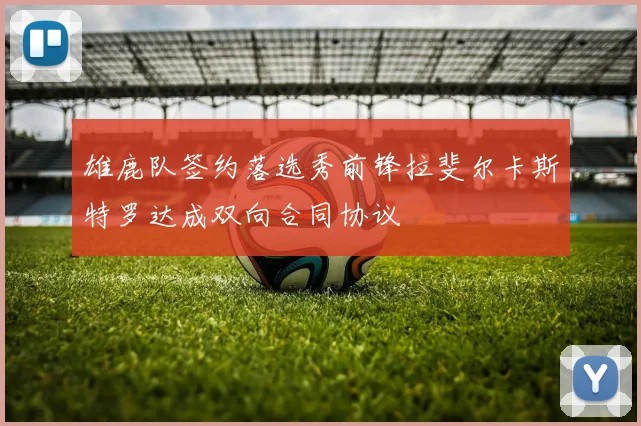 雄鹿队签约落选秀前锋拉斐尔卡斯特罗达成双向合同协议