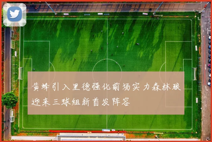 黄蜂引入里德强化前场实力森林狼迎来三球组新首发阵容