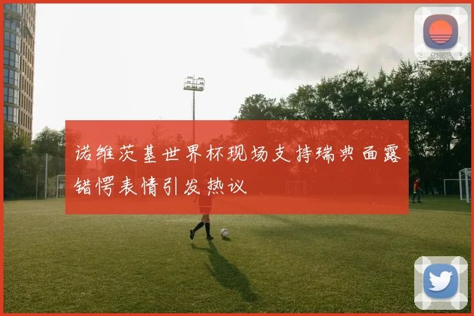 诺维茨基世界杯现场支持瑞典面露错愕表情引发热议