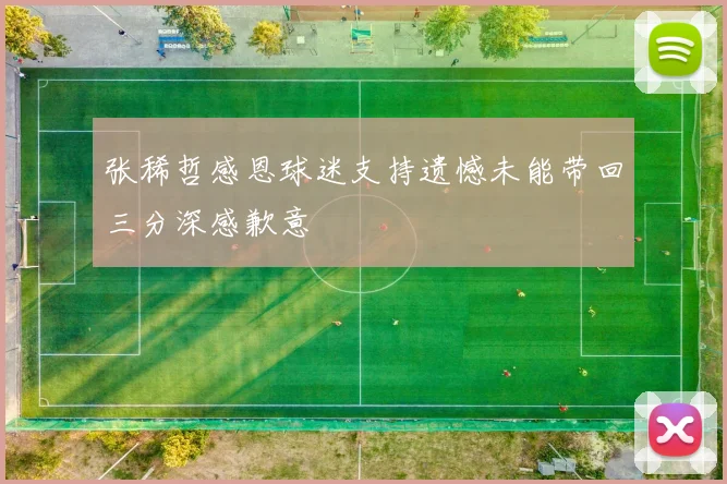 张稀哲感恩球迷支持遗憾未能带回三分深感歉意